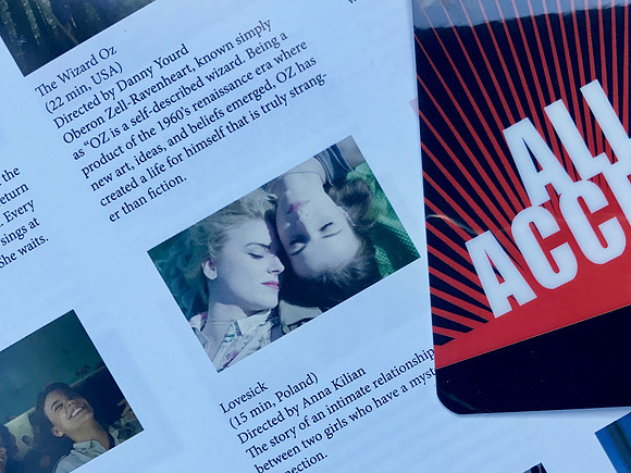 Richmond International Film Festival 2017 for "Lovesick"